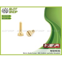 NSR 4836 Brass Body Screws