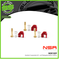 NSR 1229 Medium Suspension Kit – suit Triangular Motor Support