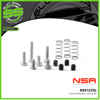 NSR 1239b Screw & Medium Spring Kit