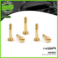 NSR 4837 Brass Suspension Screws