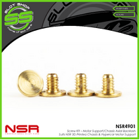 NSR 4863 Motor Support/Chassis Screw Kit 