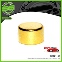 Professor Motor PMTR1115 Neodymium Magnet - Round (5mm Thick)