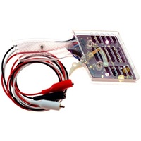 Professor Motor PMTR2120 Electronic Controller (Low Cost Basic)